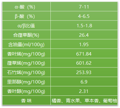 TMS—馬踏青風